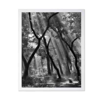 Forest Light Rays No3