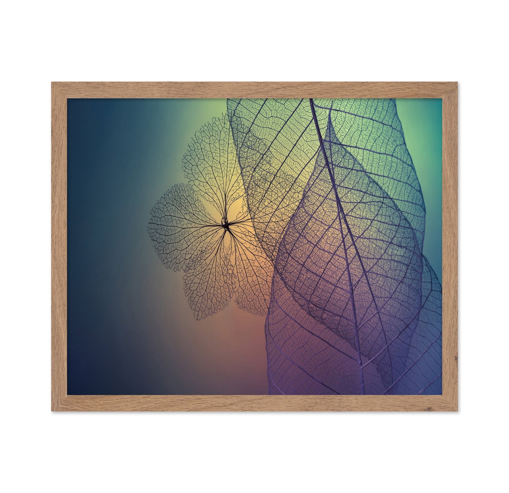 Color Vein Leaves