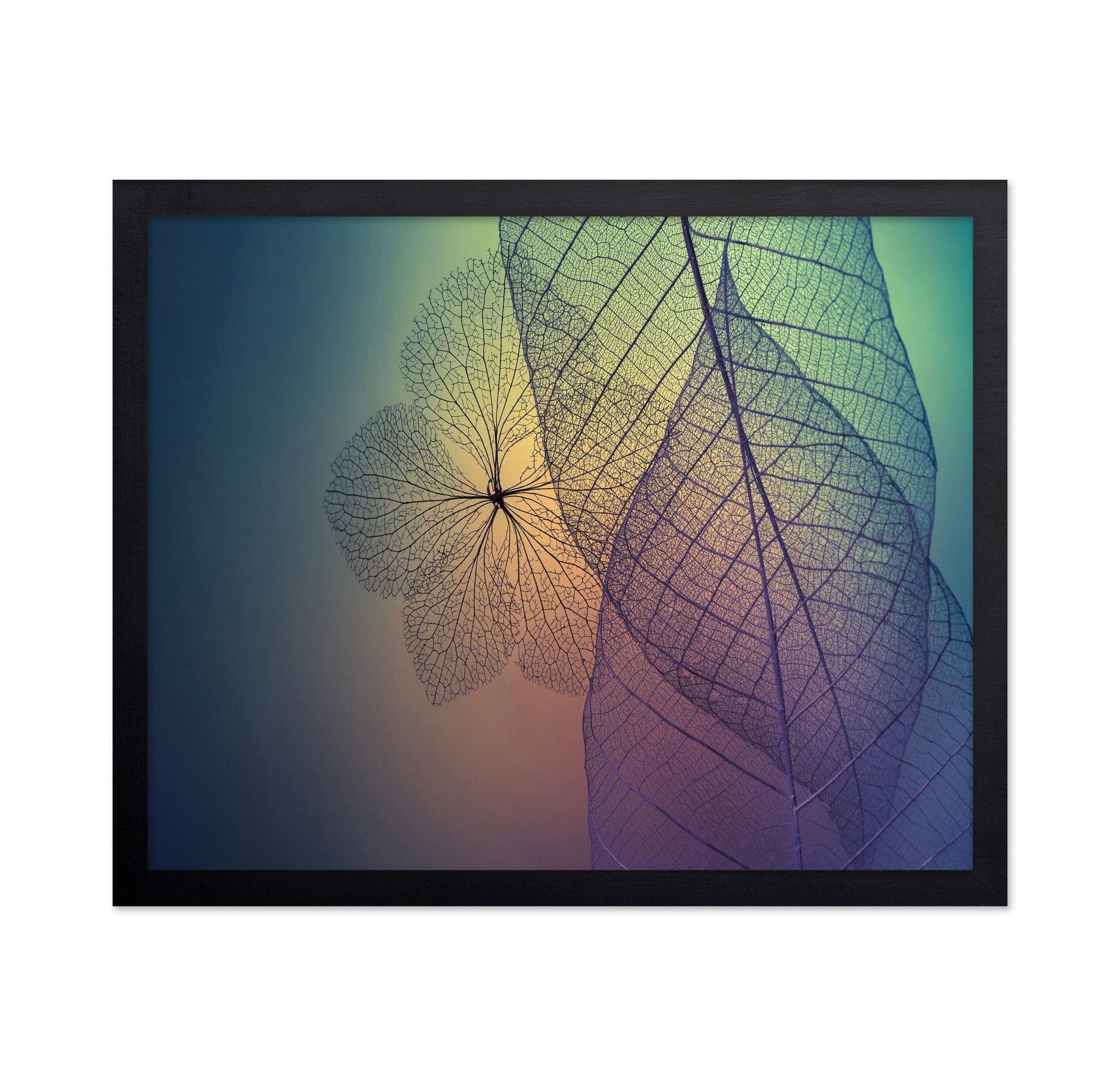 Color Vein Leaves