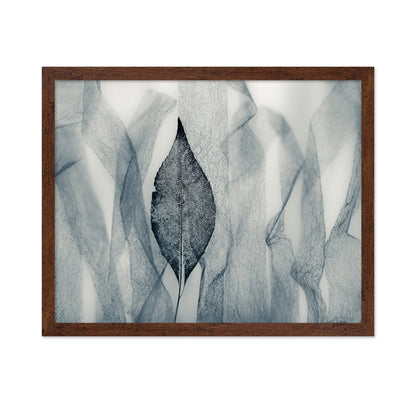 Veil Leaf Contrast