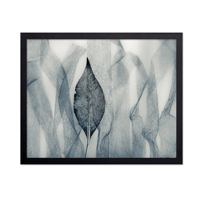 Veil Leaf Contrast