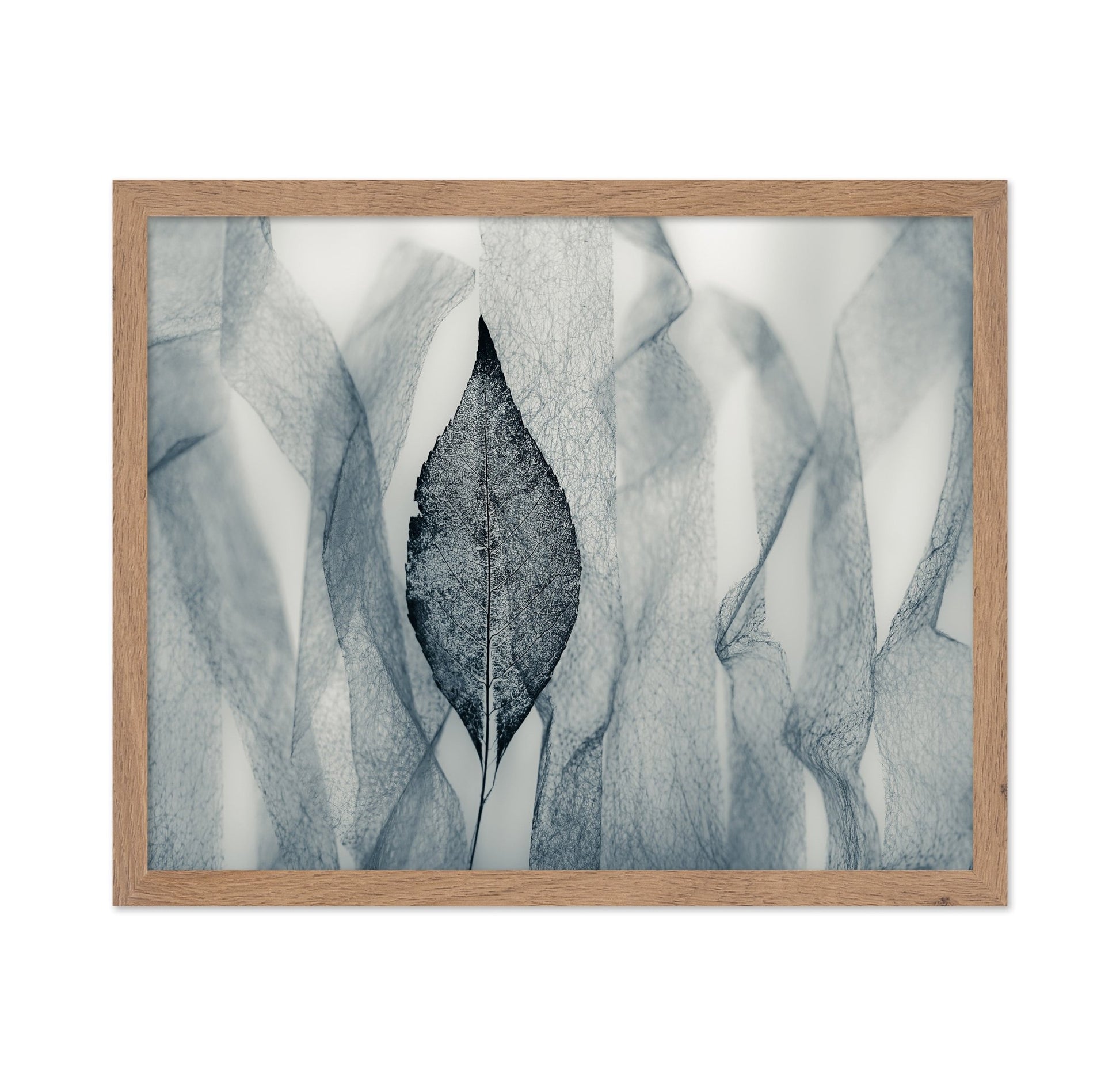 Veil Leaf Contrast
