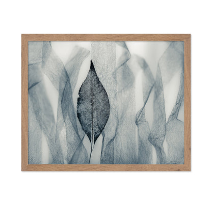 Veil Leaf Contrast