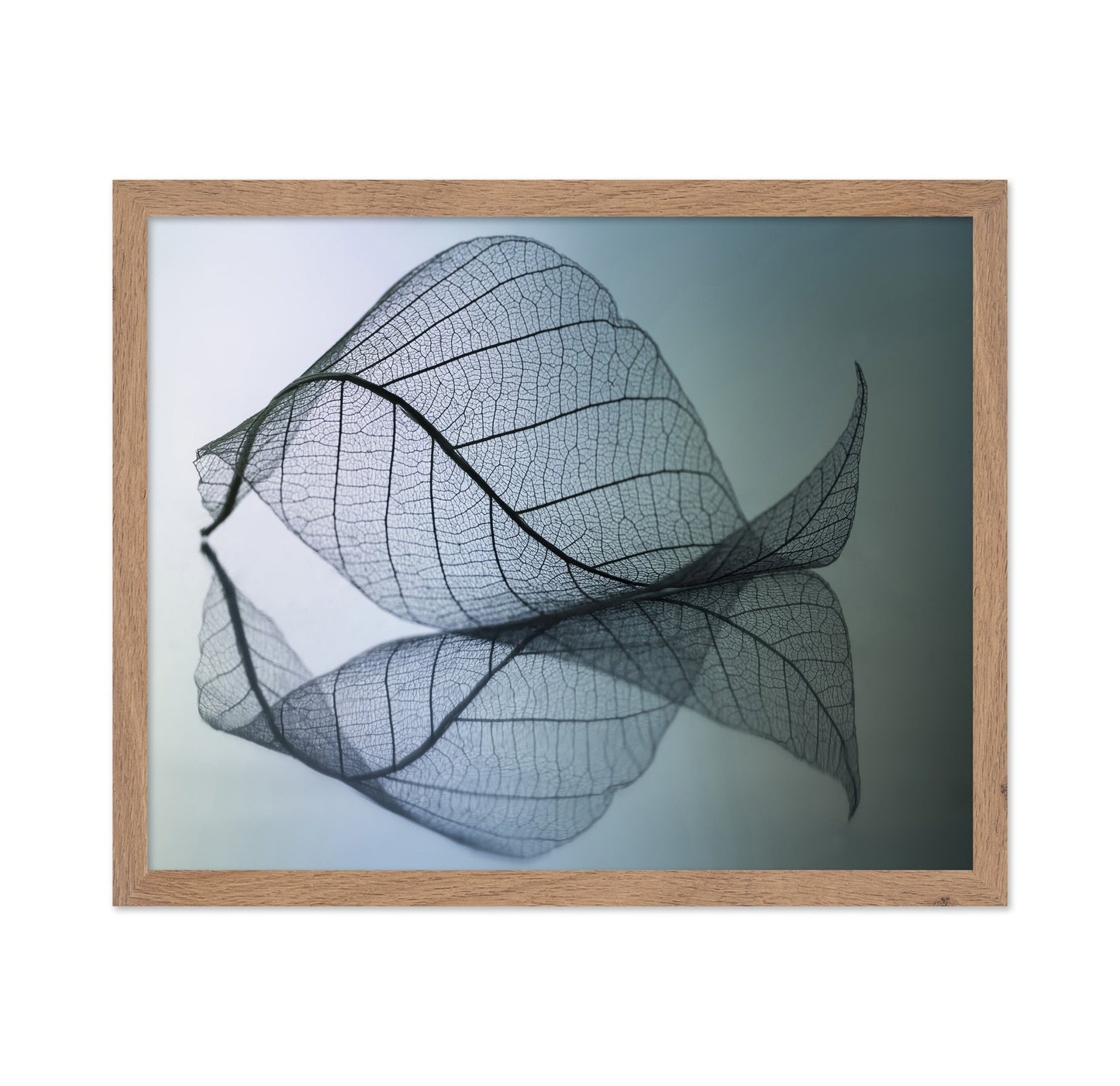 Vein Leaf Reflection