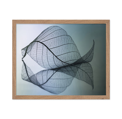 Vein Leaf Reflection