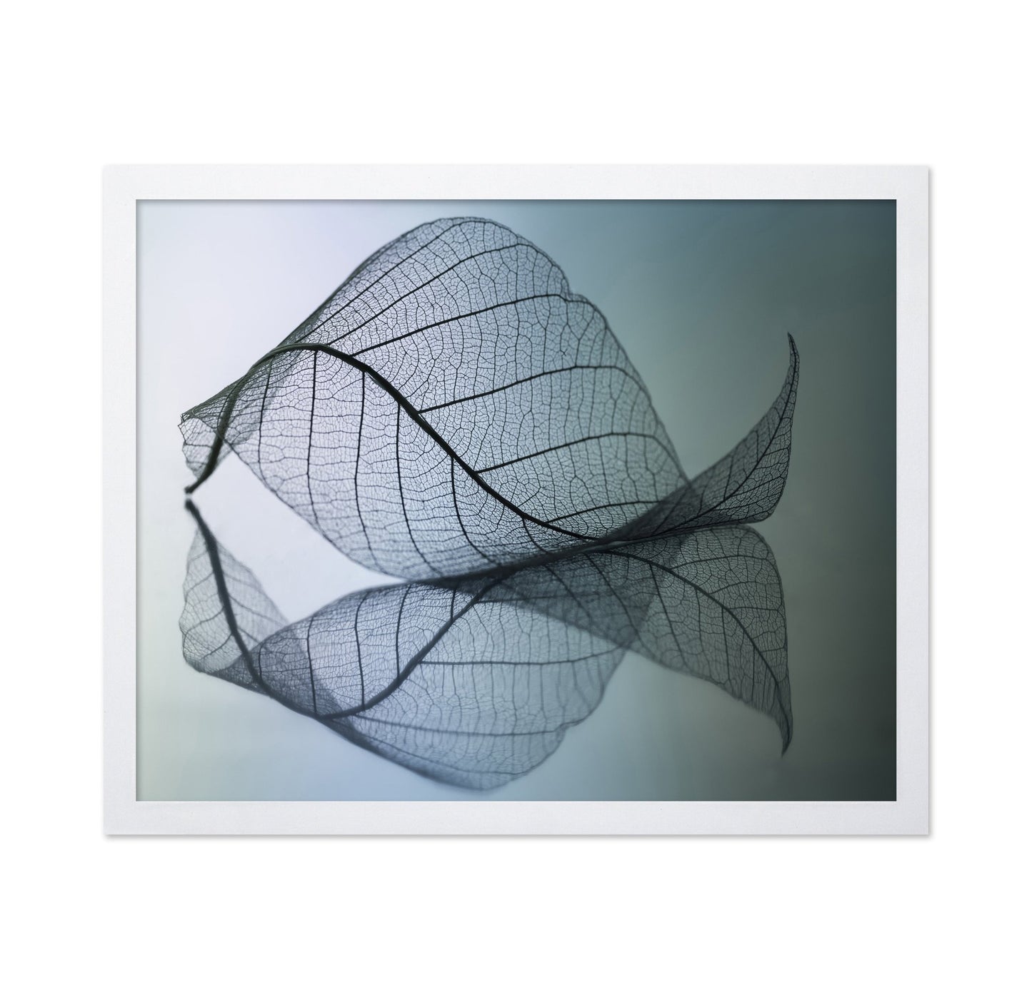 Vein Leaf Reflection