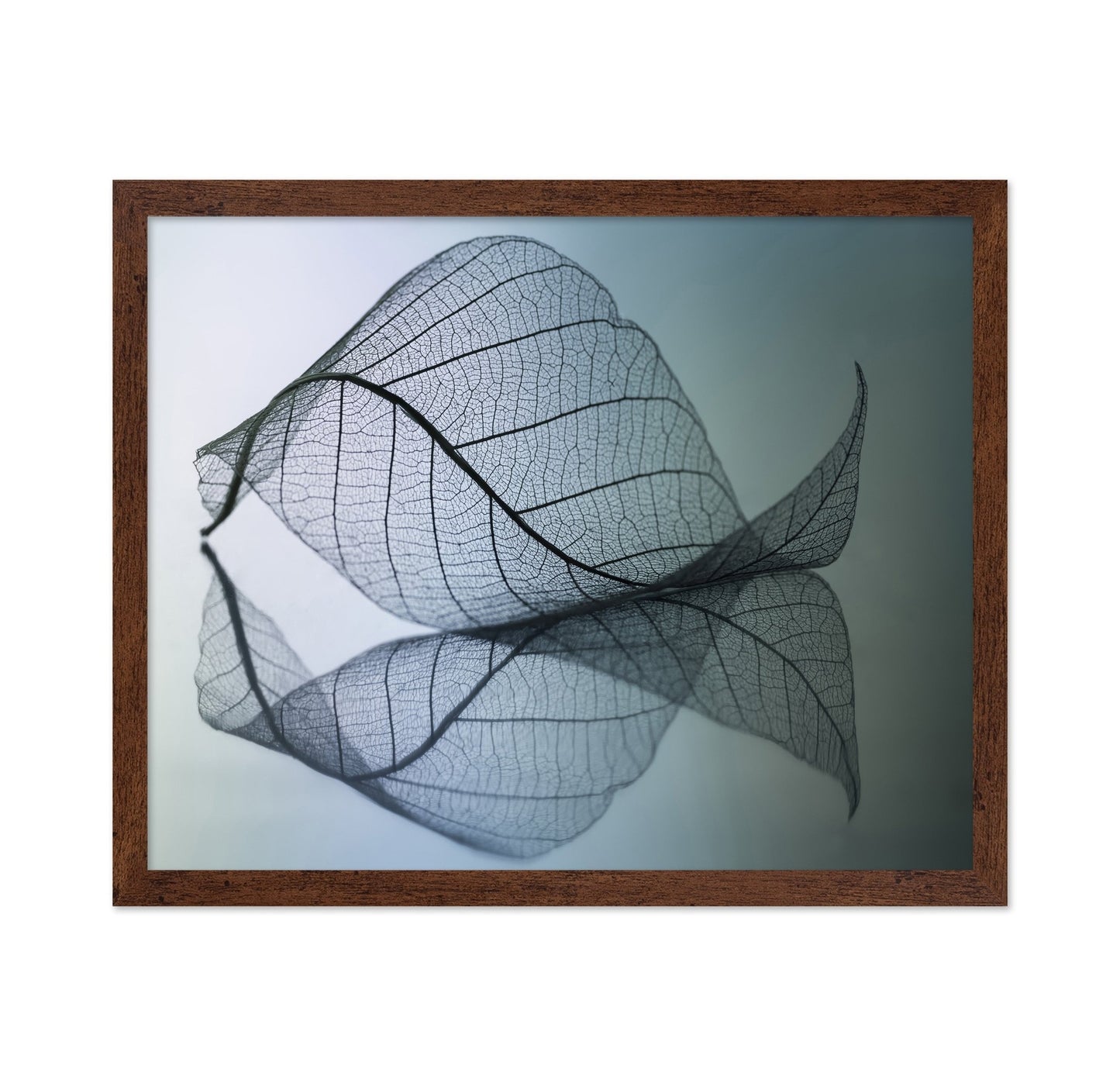 Vein Leaf Reflection