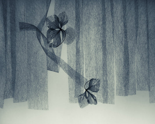 Veil Leaf Composition