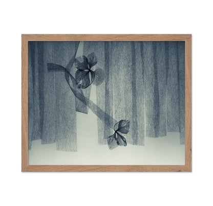 Veil Leaf Composition