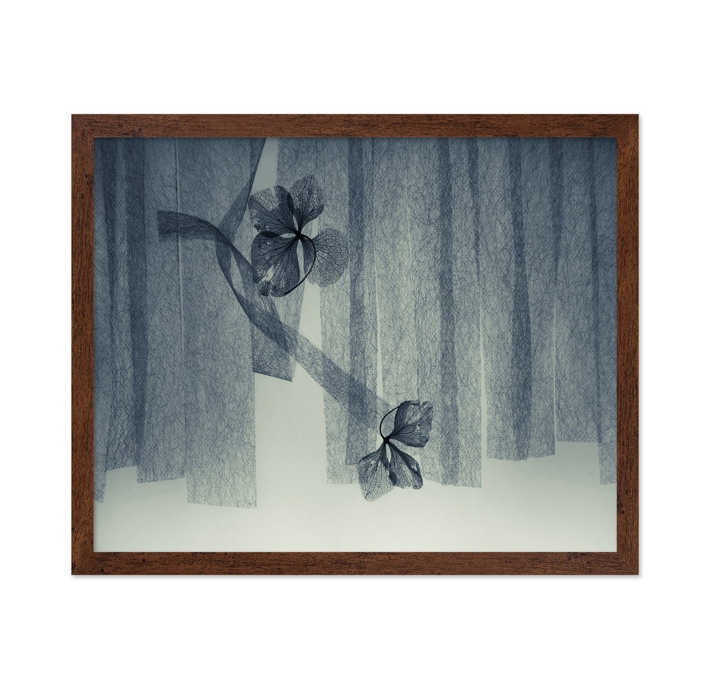Veil Leaf Composition