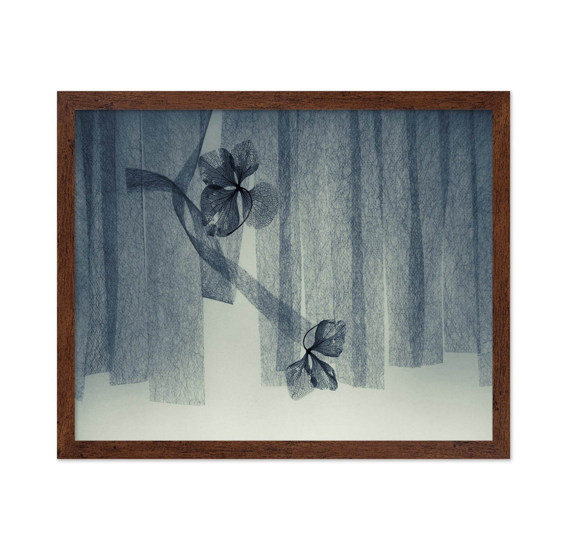 Veil Leaf Composition