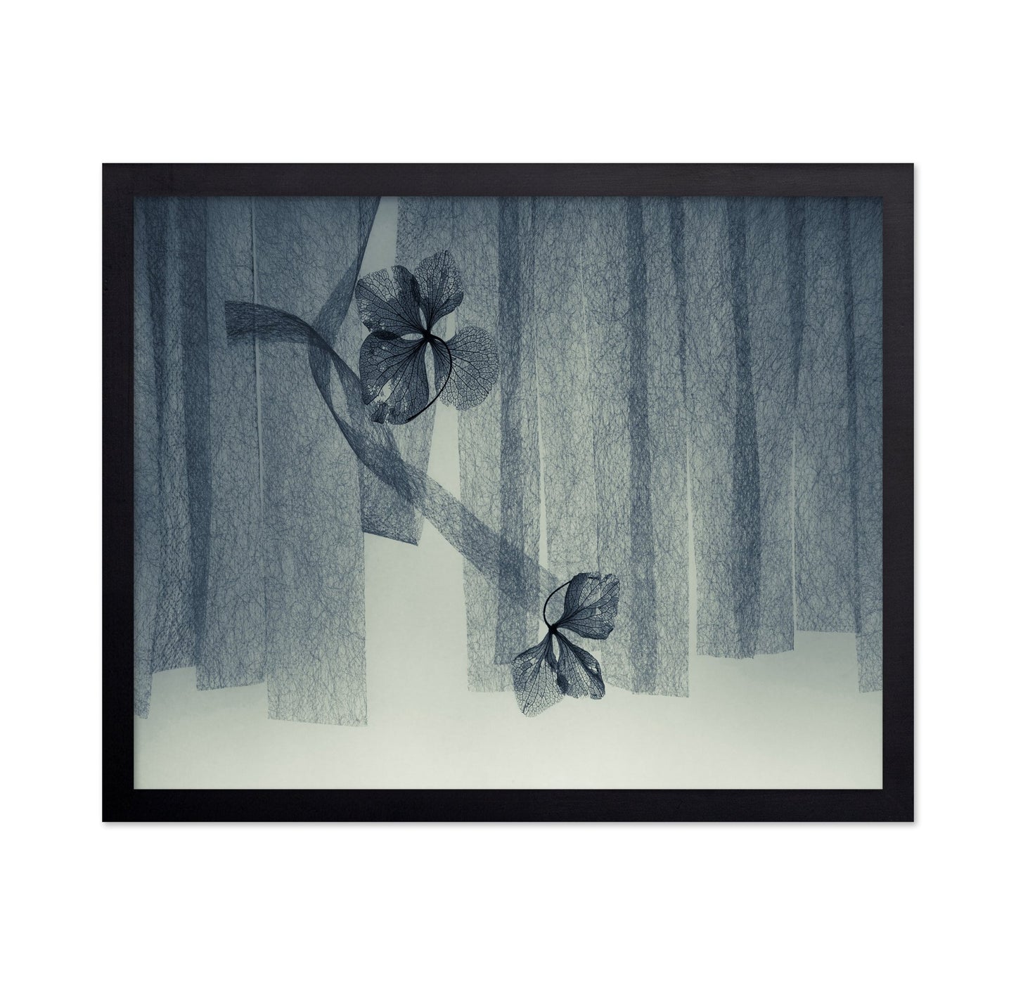 Veil Leaf Composition