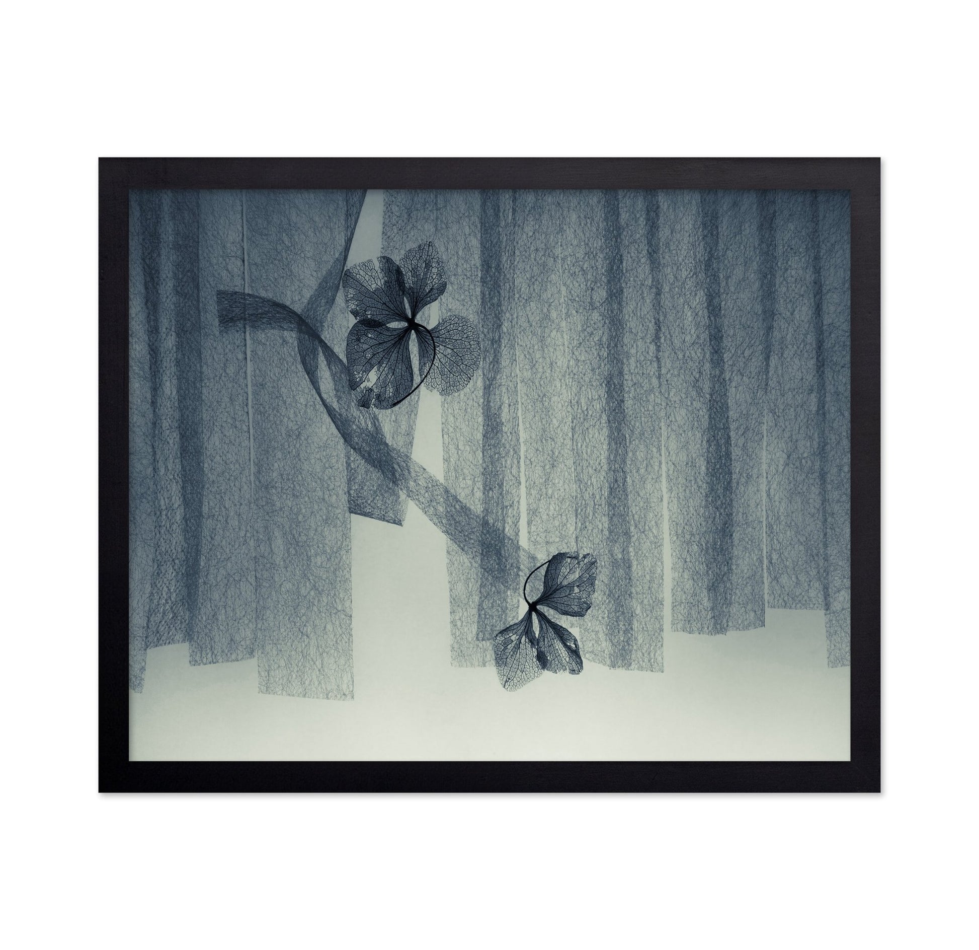 Veil Leaf Composition