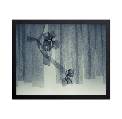 Veil Leaf Composition