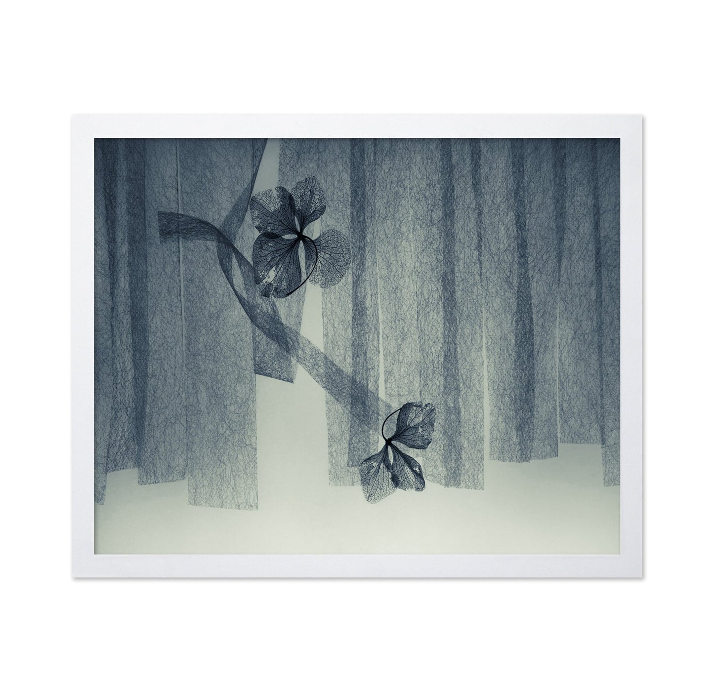 Veil Leaf Composition