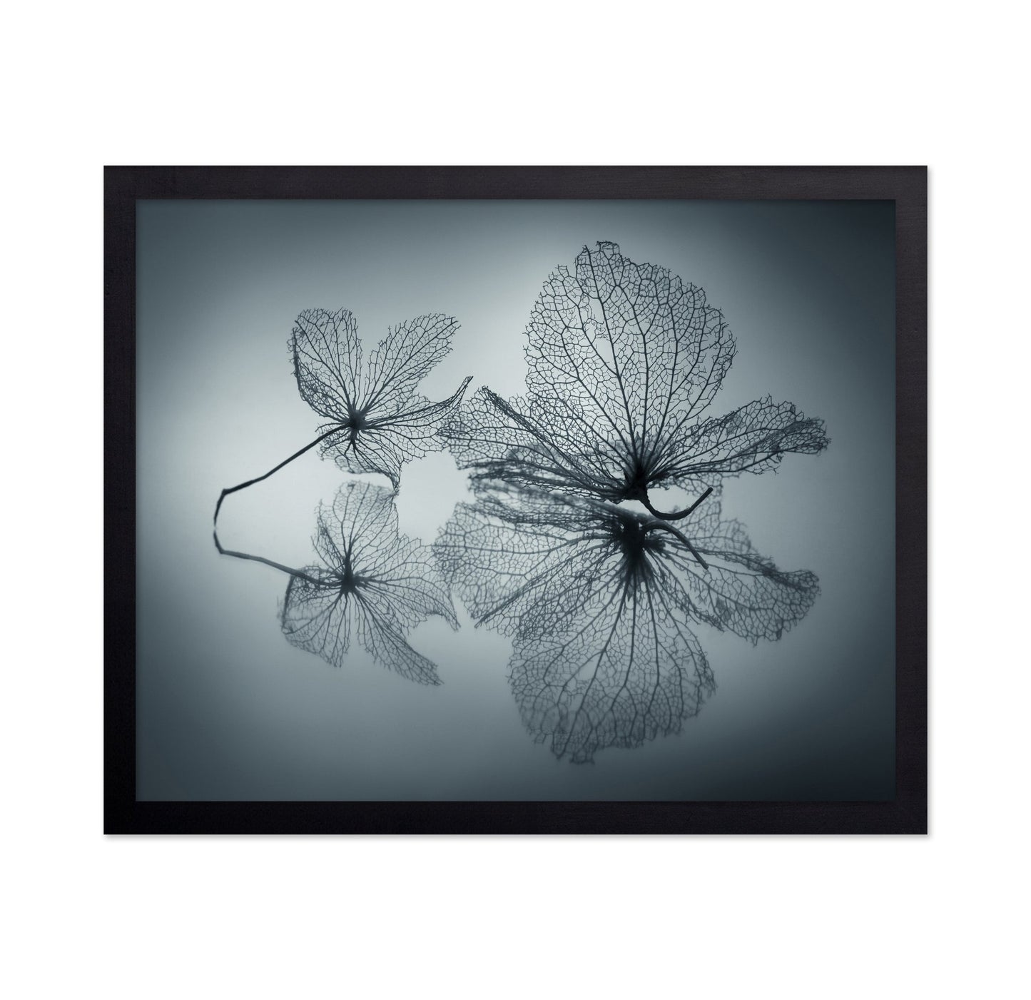 Floating Leaf Forms