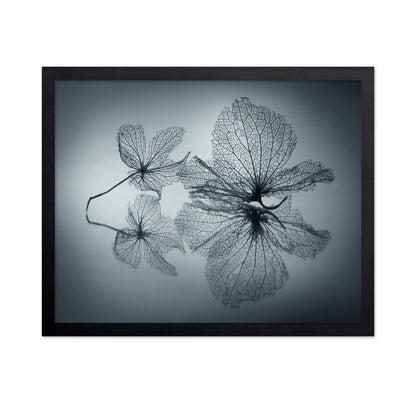 Floating Leaf Forms