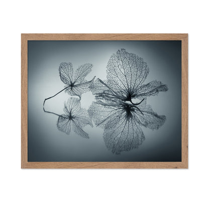 Floating Leaf Forms