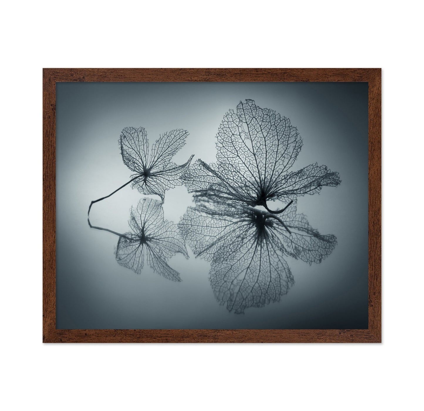 Floating Leaf Forms
