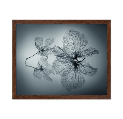 Floating Leaf Forms