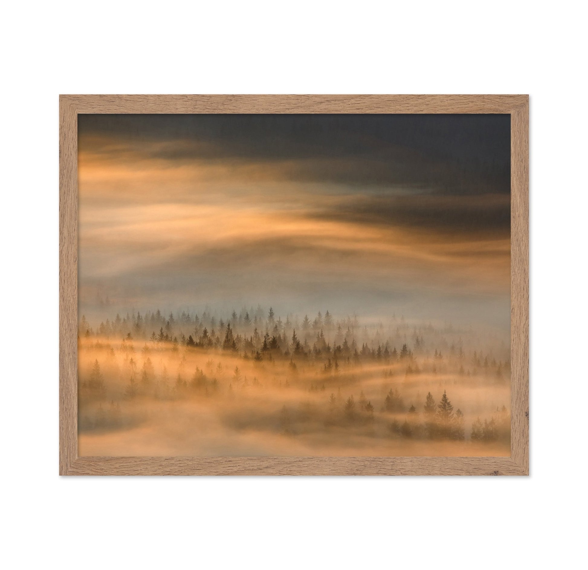 Golden Fog Forest