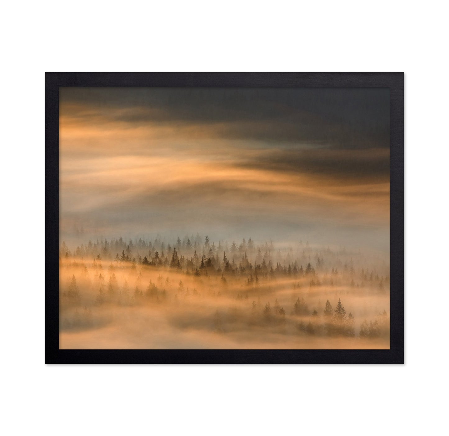 Golden Fog Forest