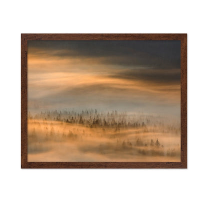 Golden Fog Forest