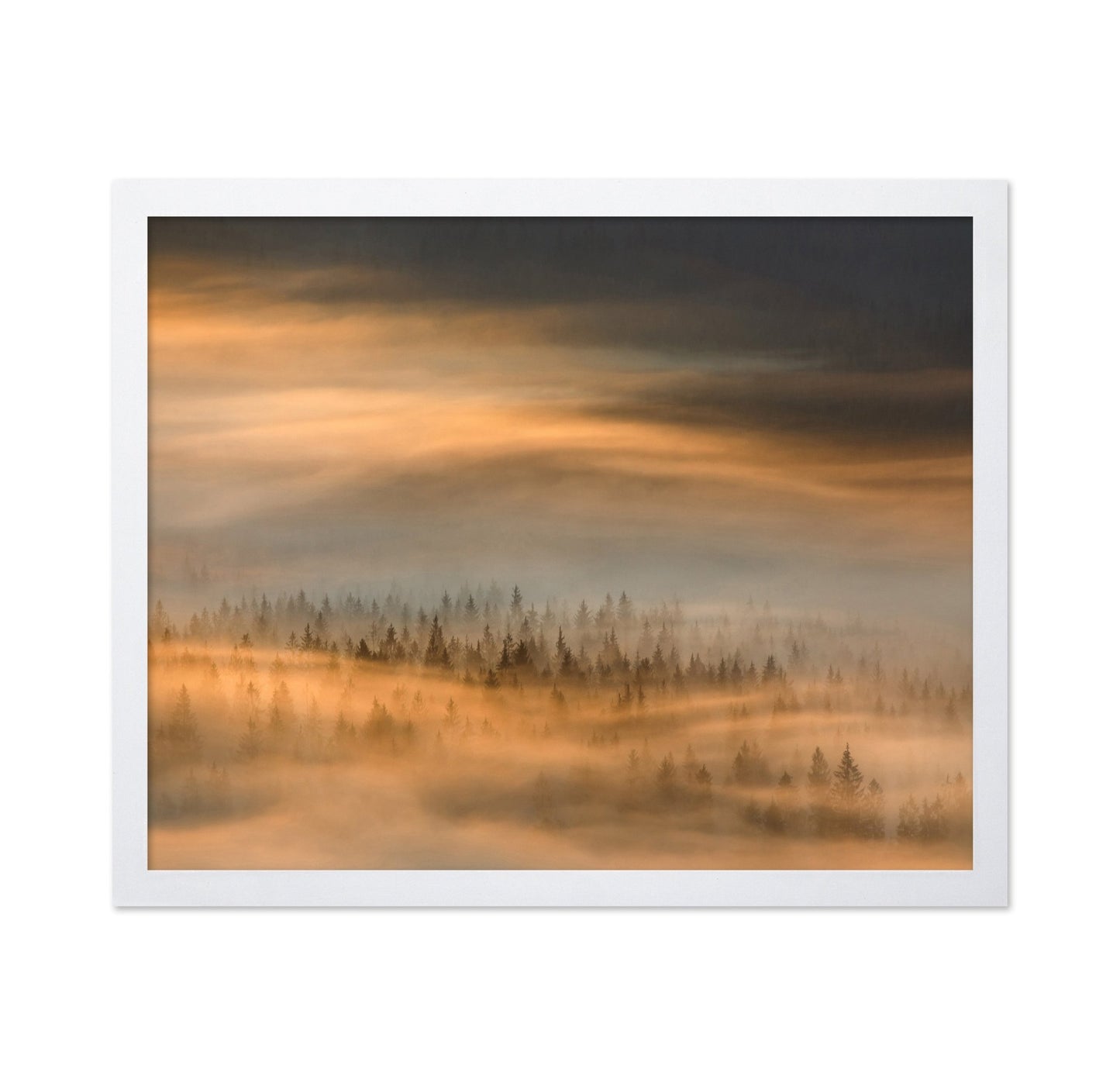 Golden Fog Forest