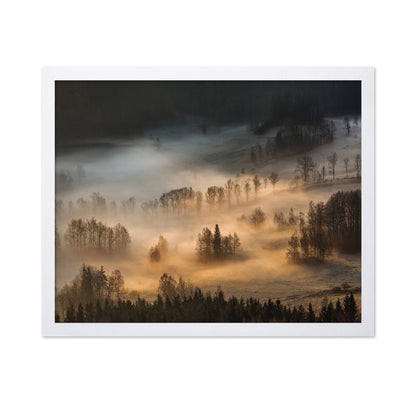 Golden Mist Hills No1