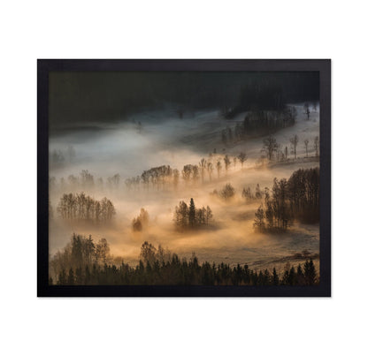 Golden Mist Hills No1