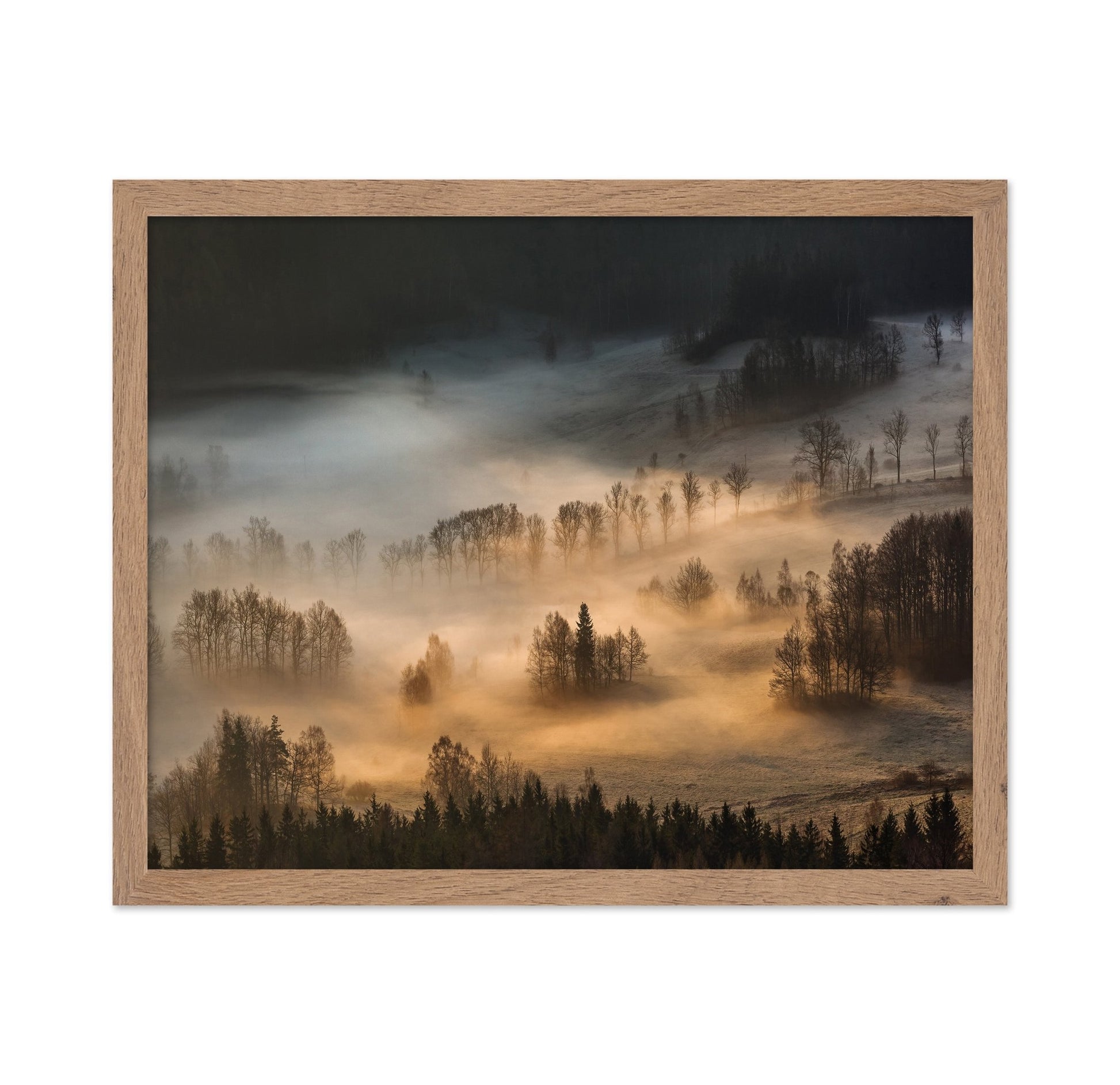 Golden Mist Hills No1