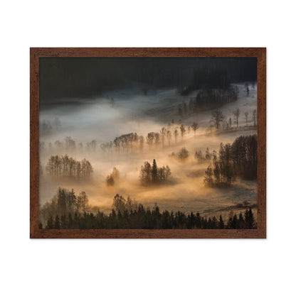 Golden Mist Hills No1
