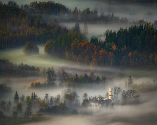 Misty Forest Castle