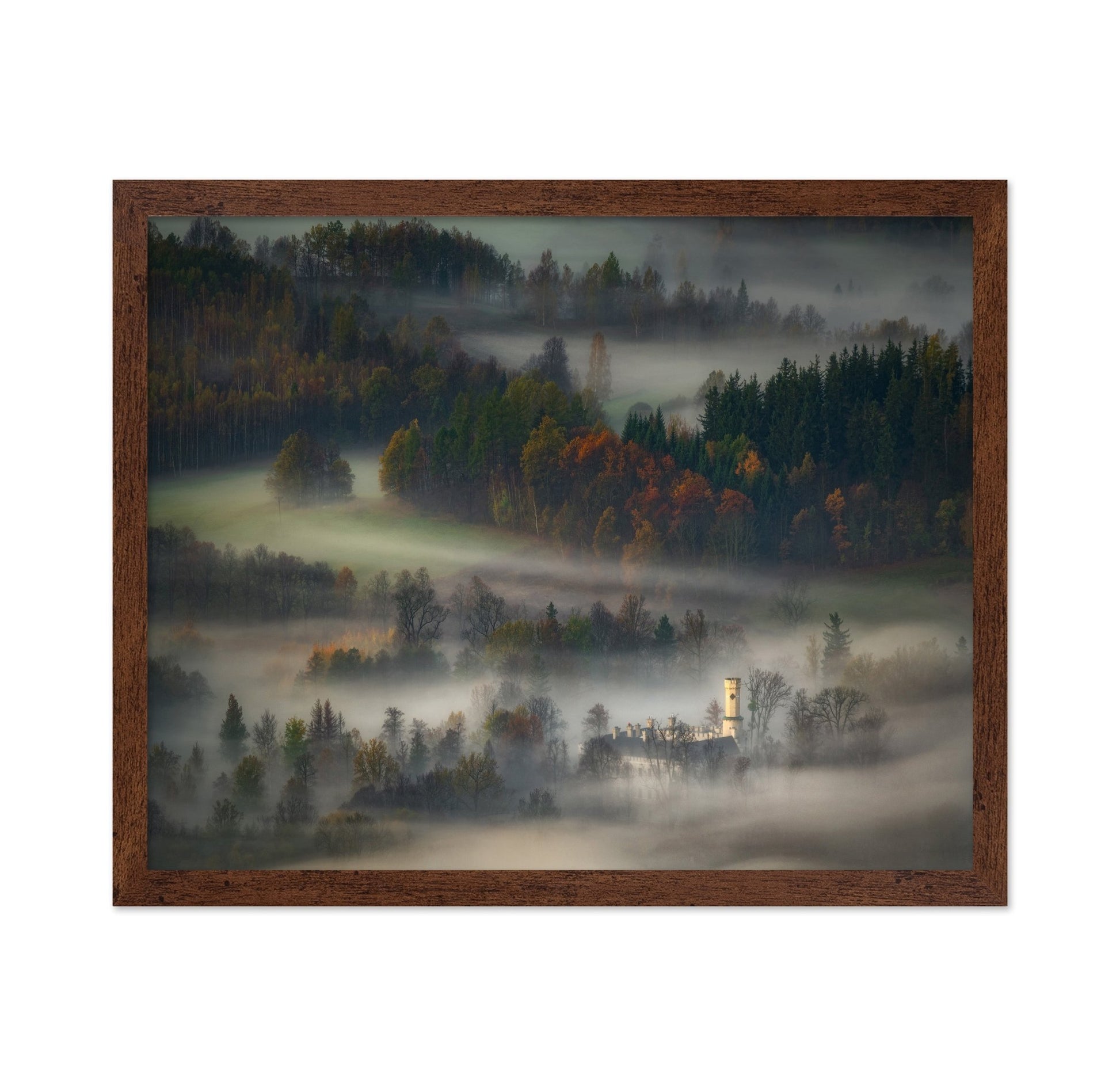 Misty Forest Castle