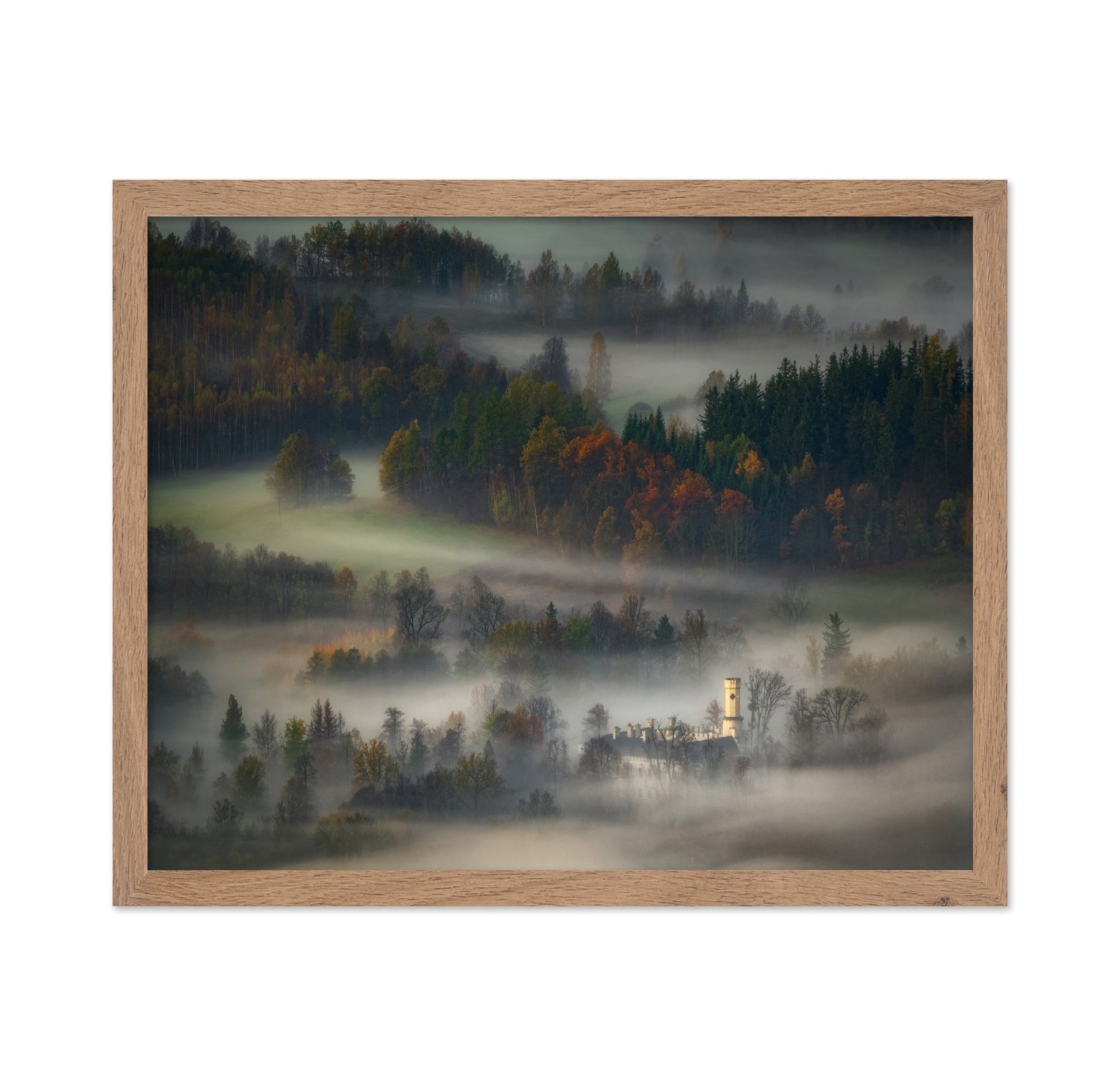 Misty Forest Castle