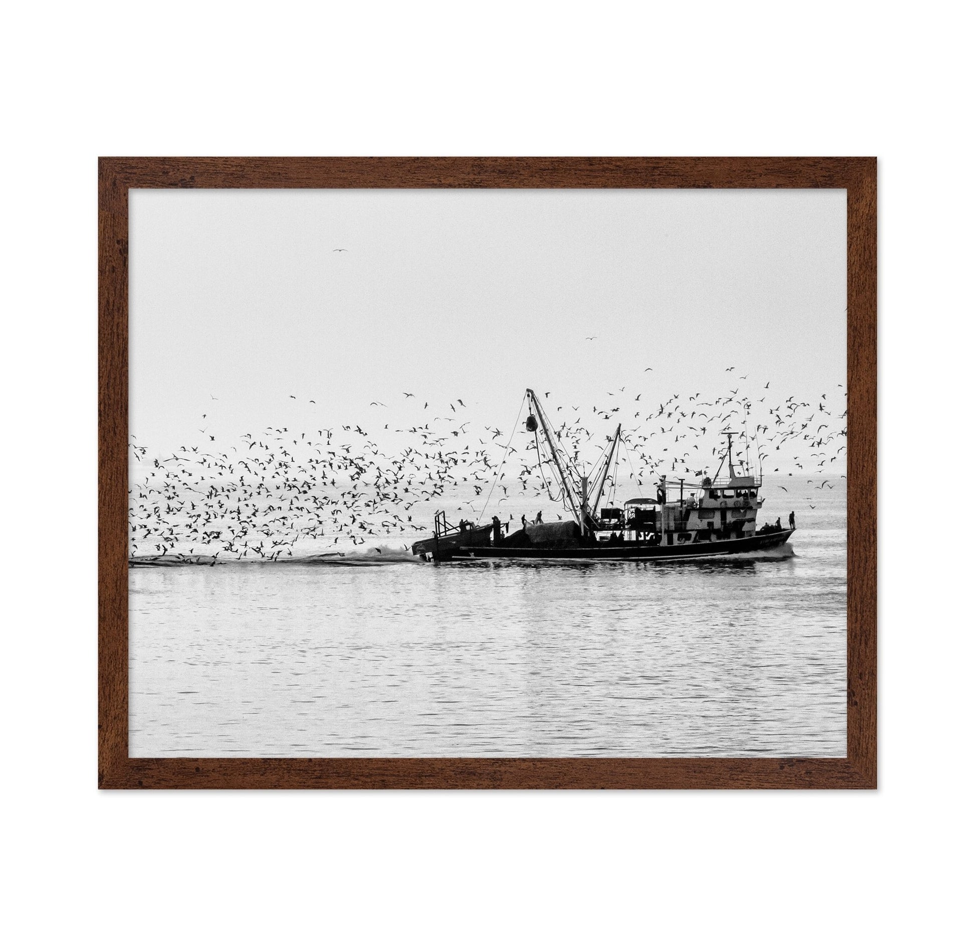 Fishing Boat Flock