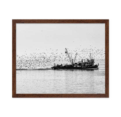 Fishing Boat Flock
