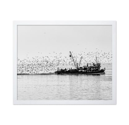 Fishing Boat Flock