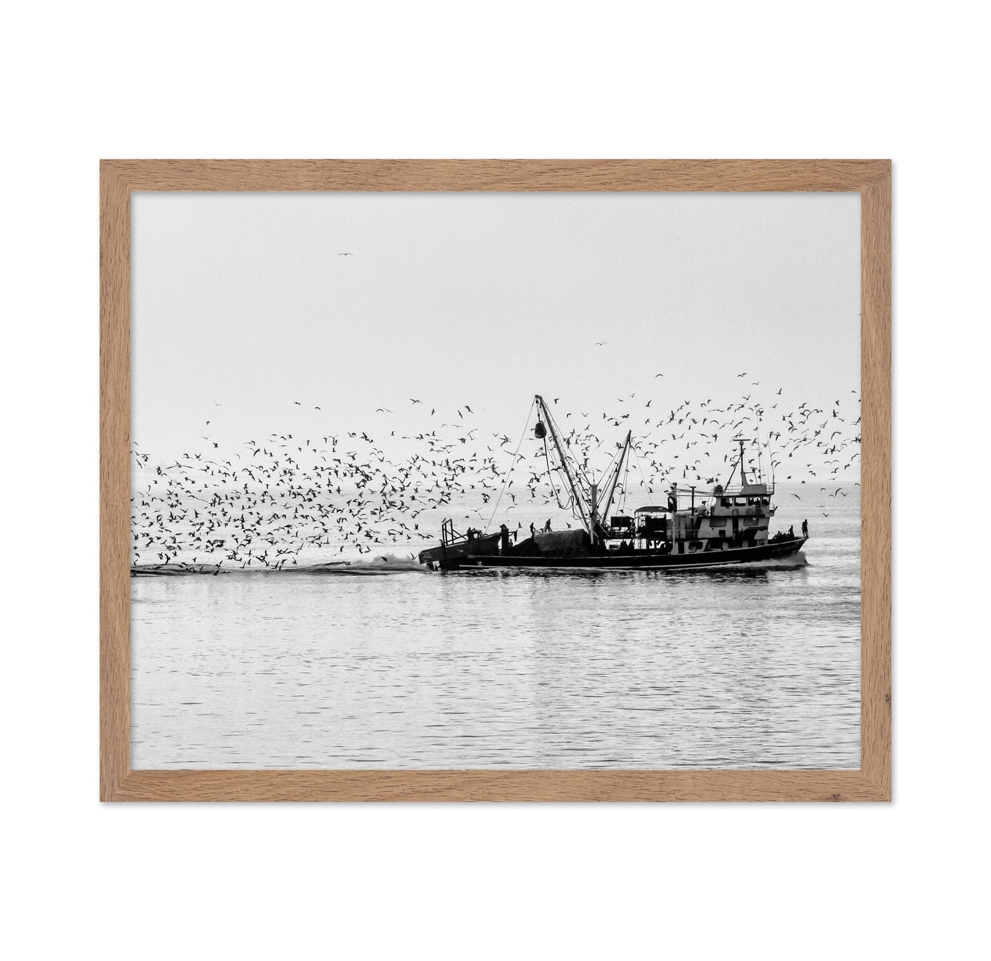 Fishing Boat Flock