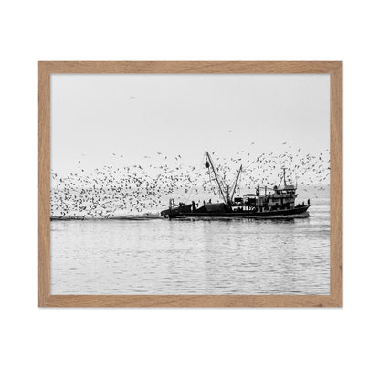 Fishing Boat Flock