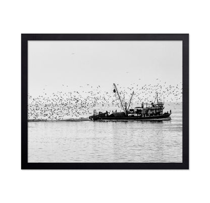 Fishing Boat Flock