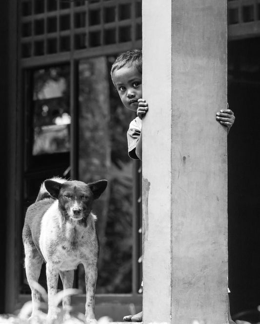 Child And Dog Peek