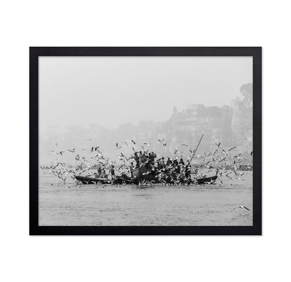River Birds Gathering