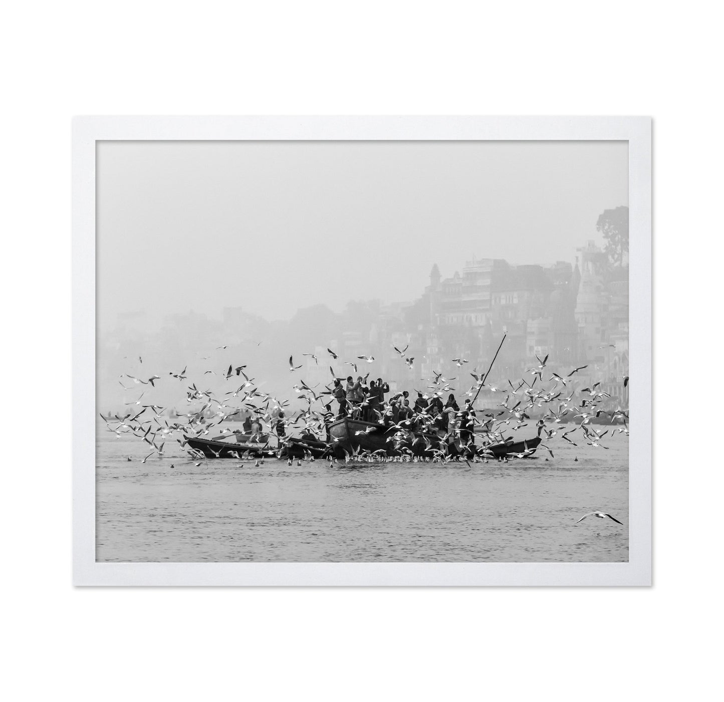 River Birds Gathering