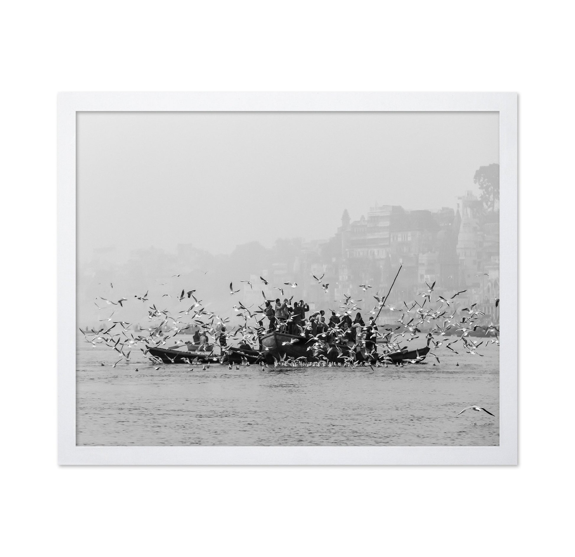 River Birds Gathering