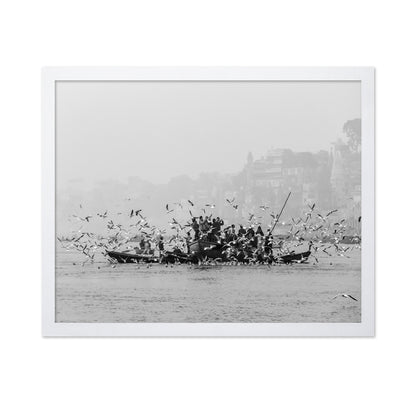 River Birds Gathering
