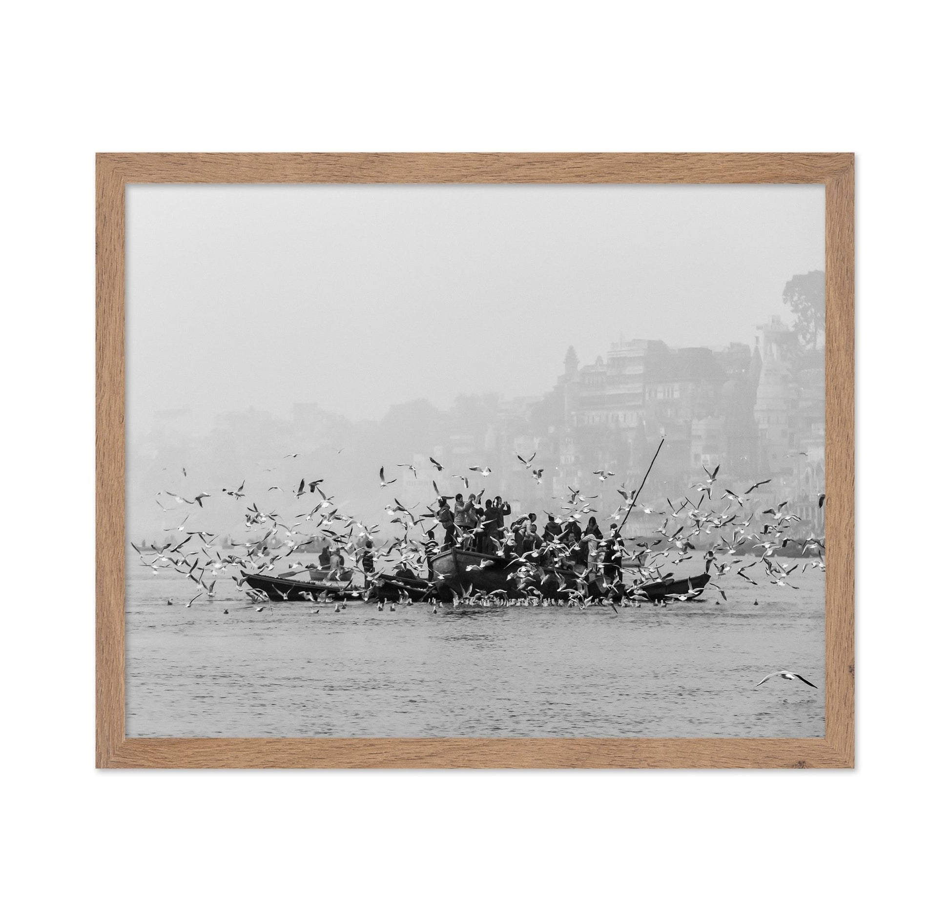 River Birds Gathering
