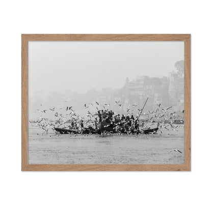 River Birds Gathering