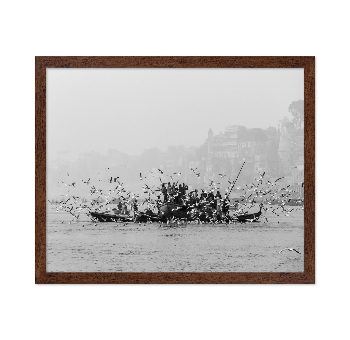 River Birds Gathering
