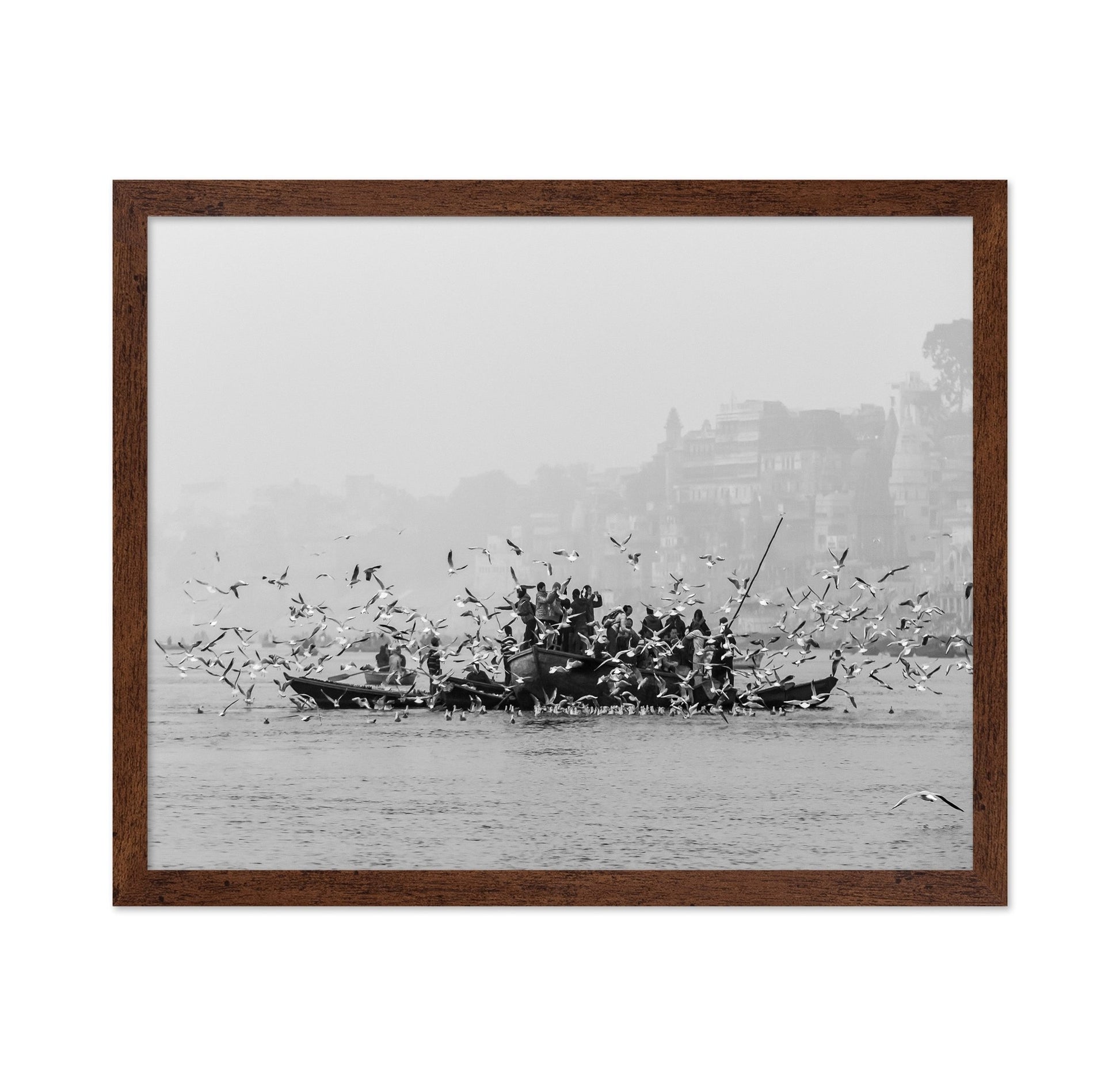 River Birds Gathering